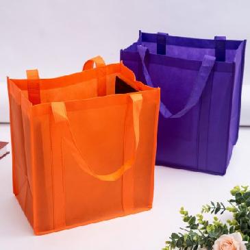 Non Woven Shopping Bag NWB003 Image