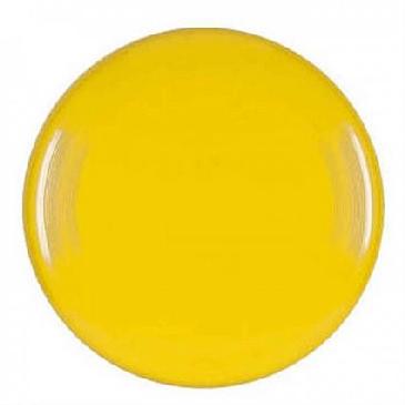 Large Flyer Disc 100194 Image
